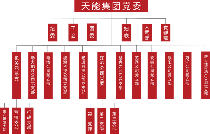 SG·亚洲胜游建团党委组织架构
